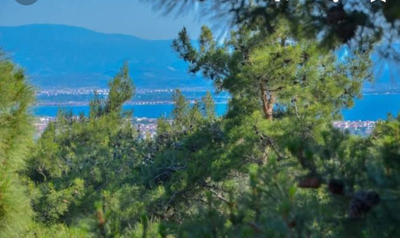 ホテル Jippe Ida Dag Evleri