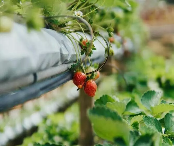 ホテル Le Vert Boutique