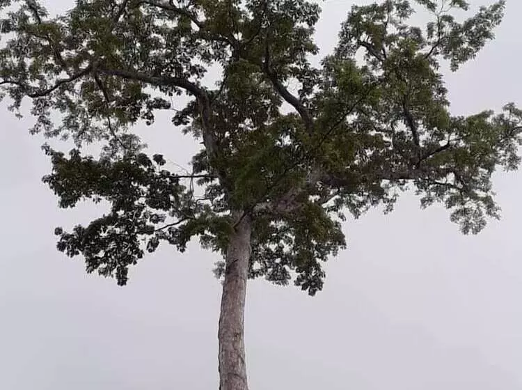 هتل Oveng Lodge