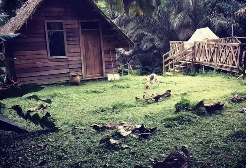 هتل Oveng Lodge