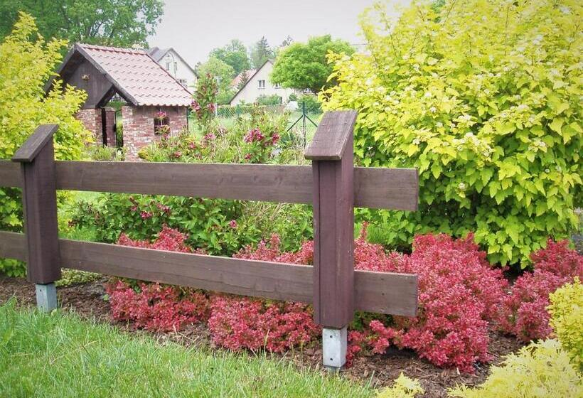 פנסיון Willa Axla Z Werandą Ogrodem I Parkingiem