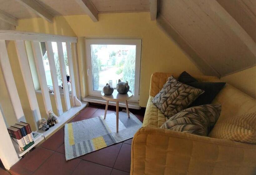 פנסיון Willa Axla Z Werandą Ogrodem I Parkingiem