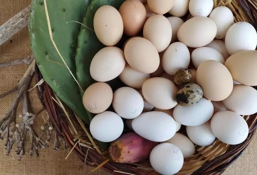 Aamiaismajoitus (B&B) Ferula Loft