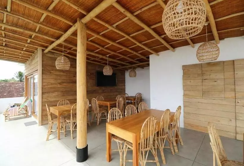 ホテル Ohana Surf Guest House