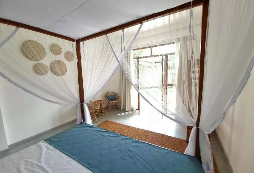 ホテル Ohana Surf Guest House