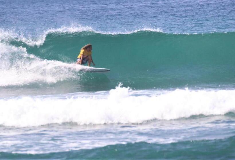 هتل Ohana Surf Guest House