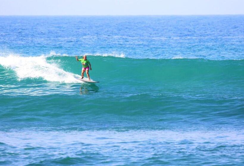 هتل Ohana Surf Guest House