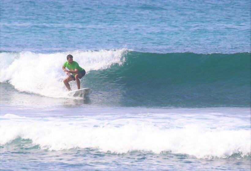 هتل Ohana Surf Guest House