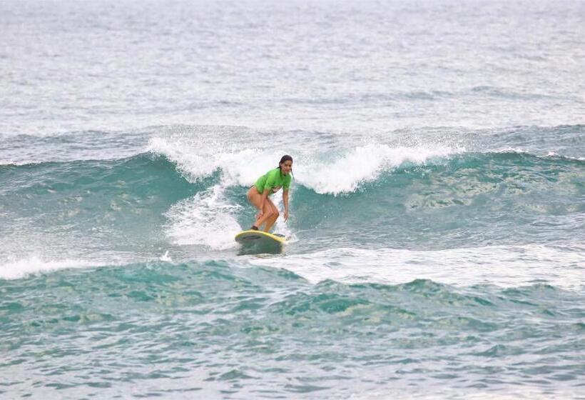 هتل Ohana Surf Guest House