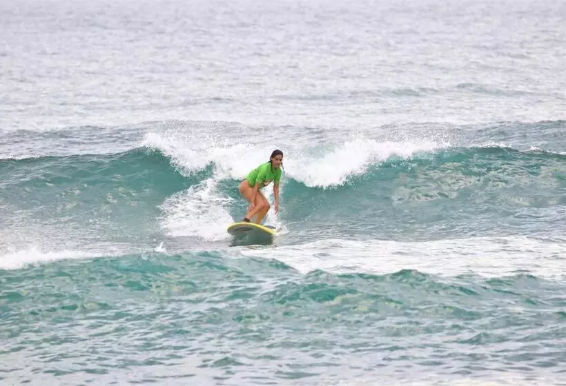 ホテル Ohana Surf Guest House
