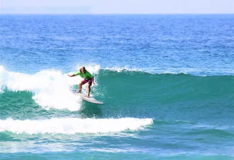 ホテル Ohana Surf Guest House