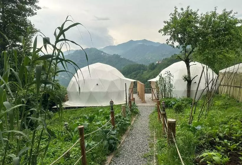 Li̇mkhona Dome   Chalet