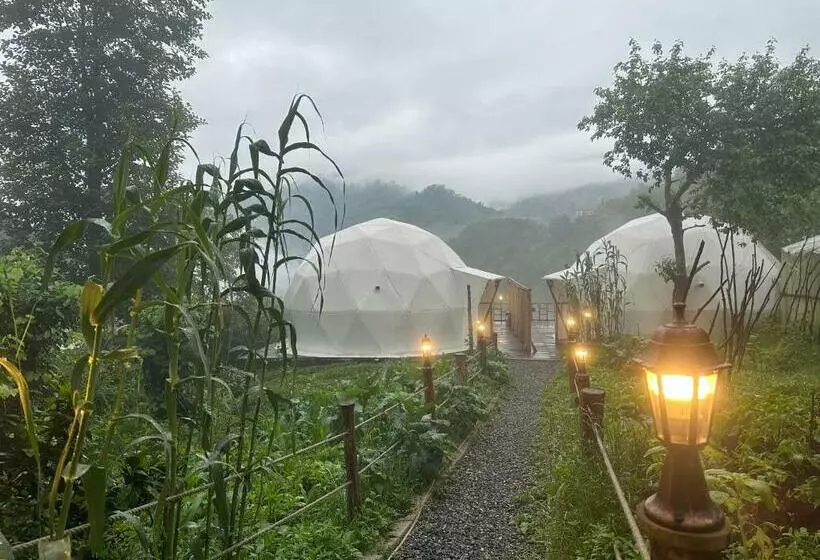 Li̇mkhona Dome   Chalet