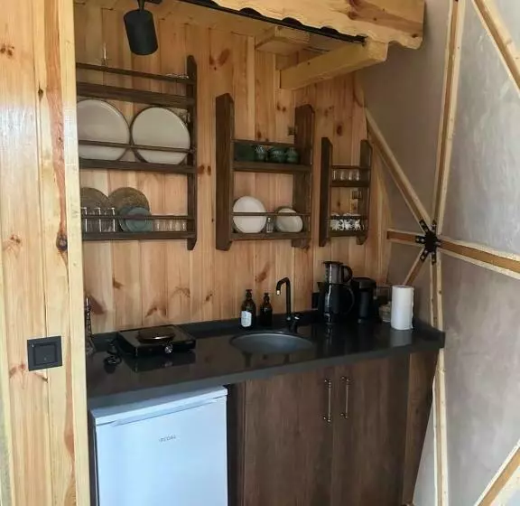 Li̇mkhona Dome   Chalet