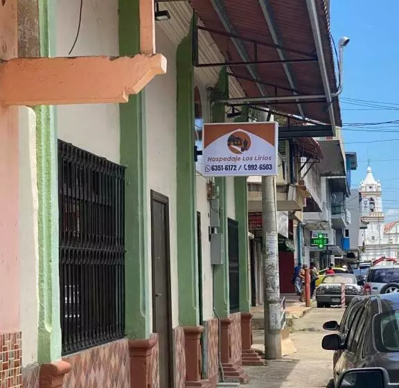 ペンション Hospedaje Los Lirios Chitré