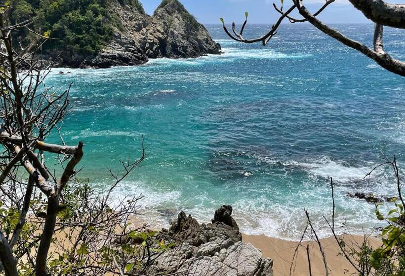 膳宿费 Huatulco Hermoso