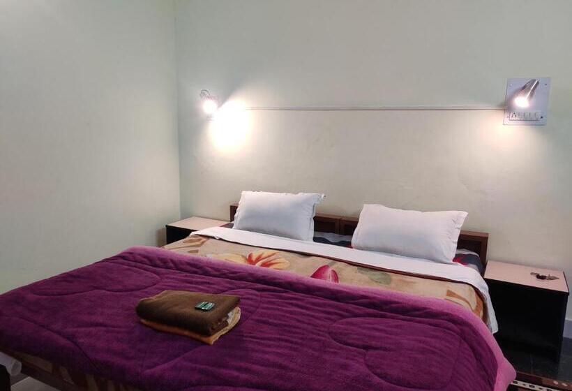 بنسيون Shree Guest House