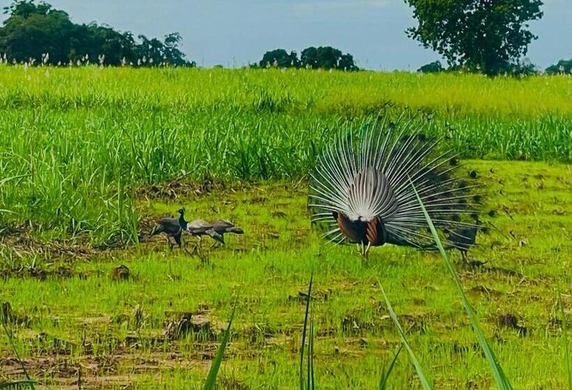 Szálloda Life Of Coco