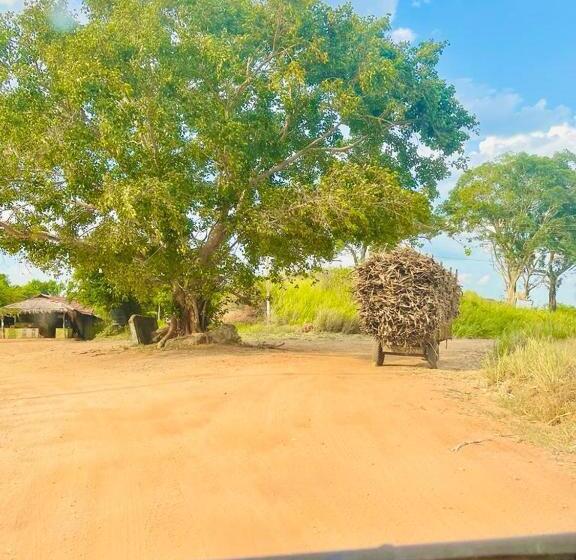 Szálloda Life Of Coco