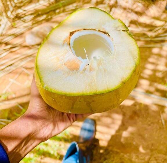 Szálloda Life Of Coco