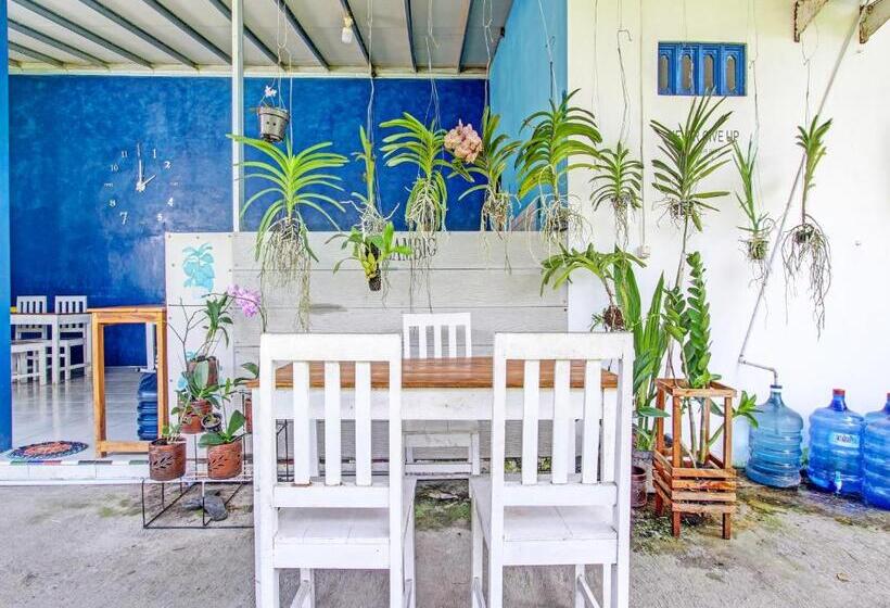 Szálloda Spot On 92179 Latinos House