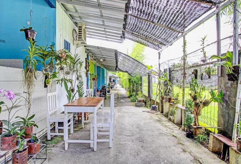 Szálloda Spot On 92179 Latinos House