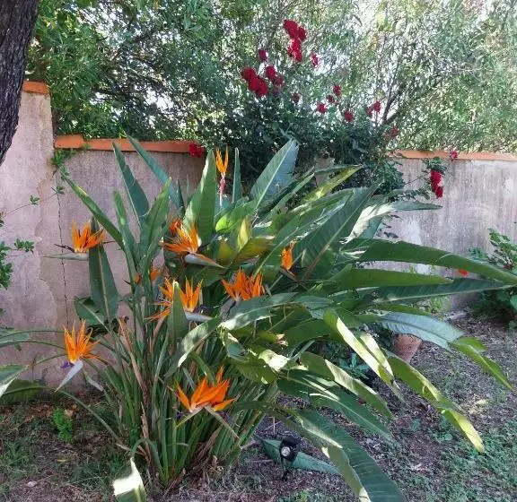 Aamiaismajoitus (B&B) Chez Isabelle