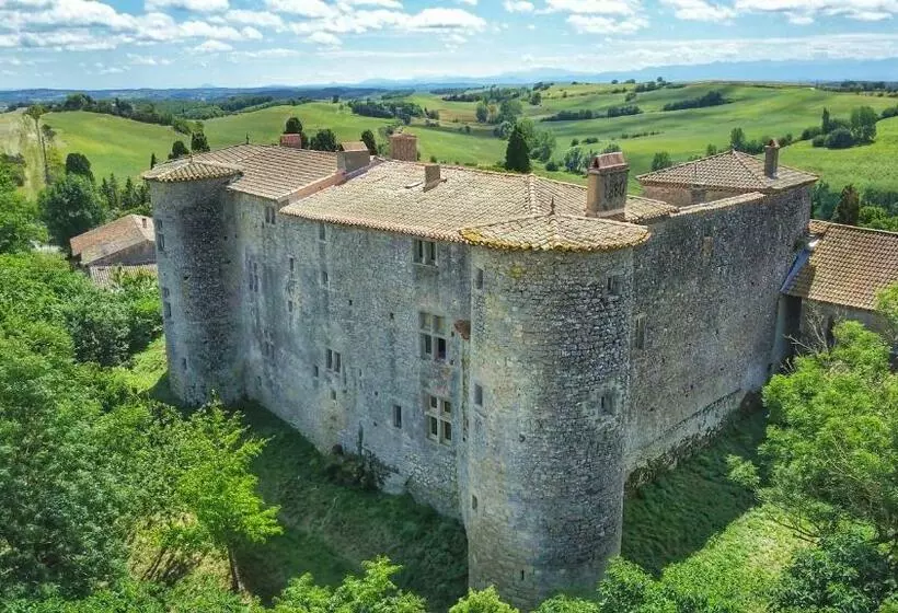 ベッドアンドブレックファースト Château De Mézerville