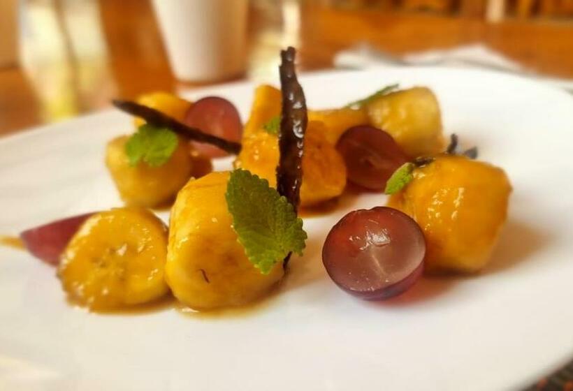 Hotel Montenebo Missionary House