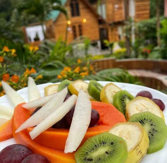 Hotel Montenebo Missionary House