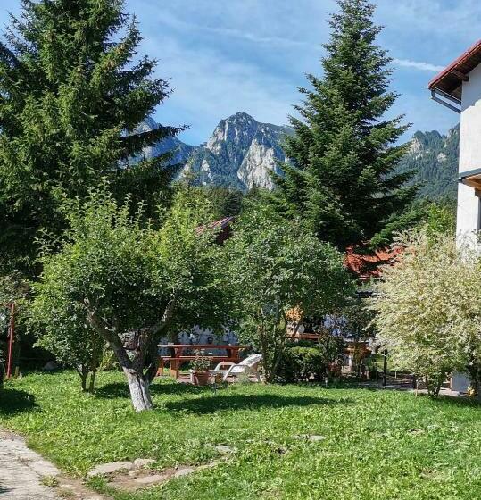 Пансион Zoso Home