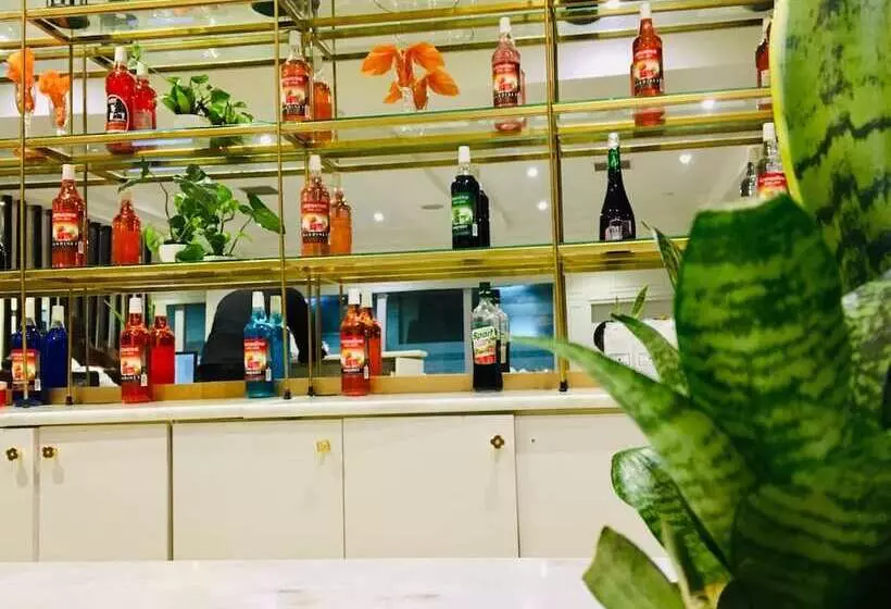 هتل T E L E By Summerset Continental