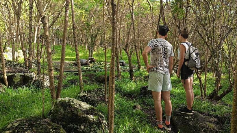 فندق صغير El Pajas