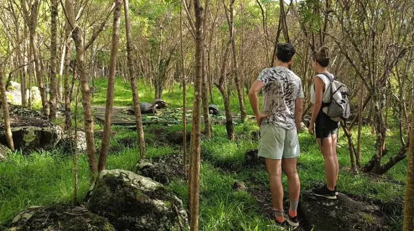 Retkeilymaja El Pajas