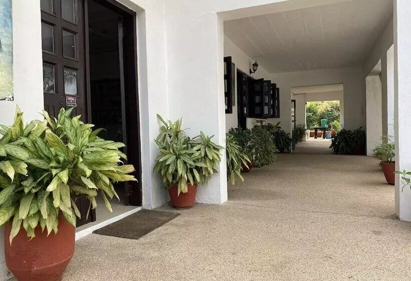 Hotelli Casablanca Guest Inn