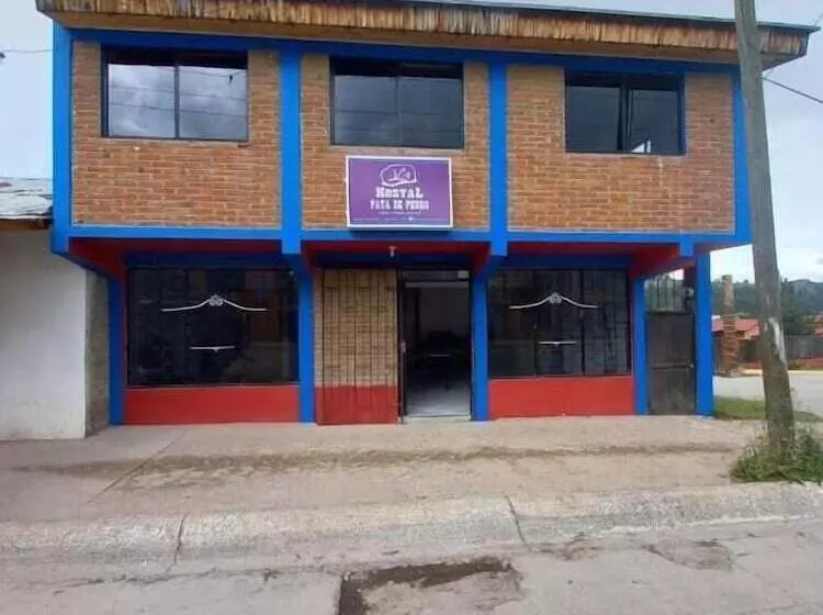 ペンション Hostal Pata De Perro   Hostel