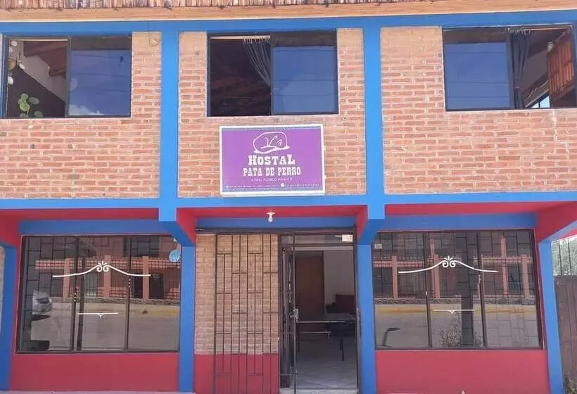 ペンション Hostal Pata De Perro   Hostel