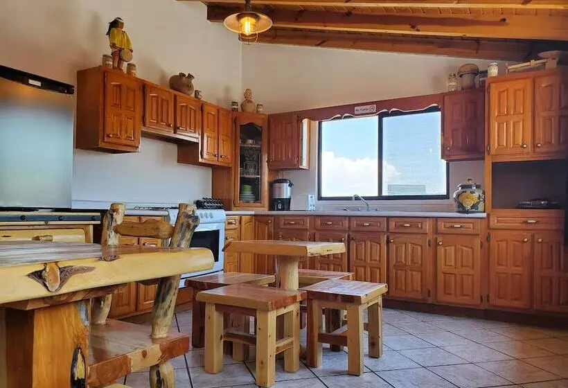 ペンション Hostal Pata De Perro   Hostel
