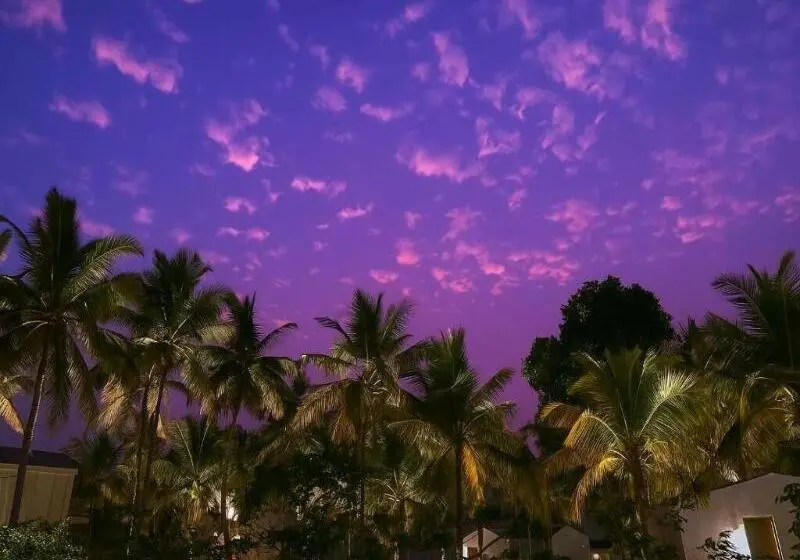 リゾートホテル The Postcard On The Arabian Sea