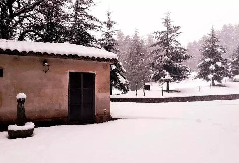 B&b Casa Alegría