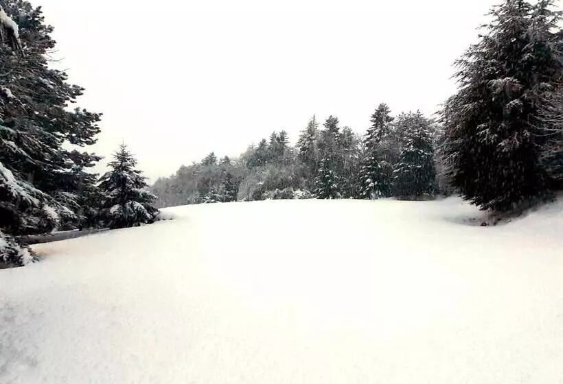 B&b Casa Alegría