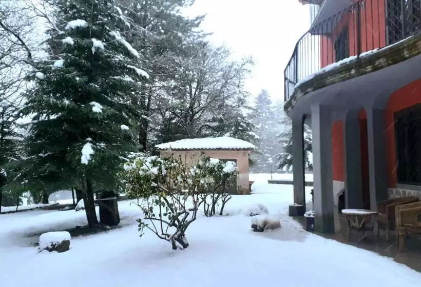 B&b Casa Alegría