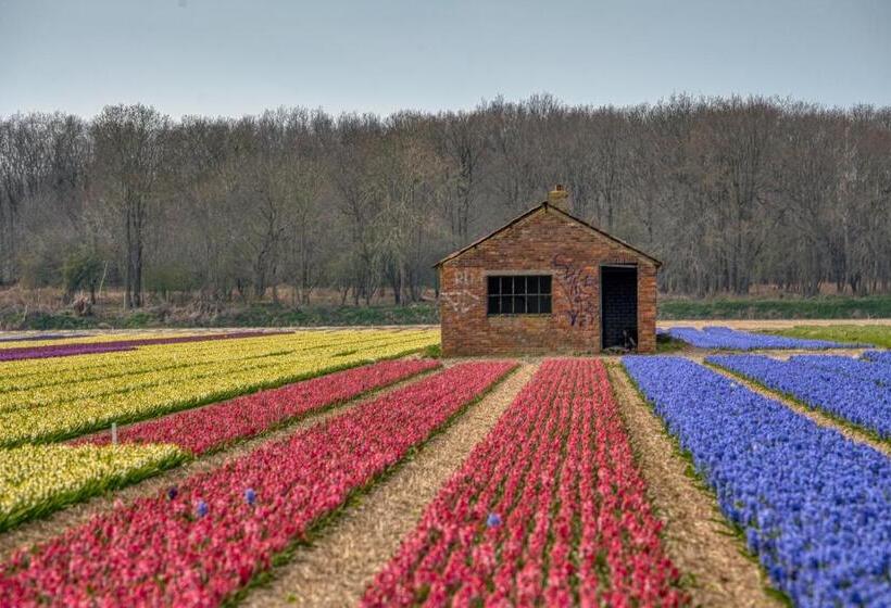 Bed And Breakfast Geliefd