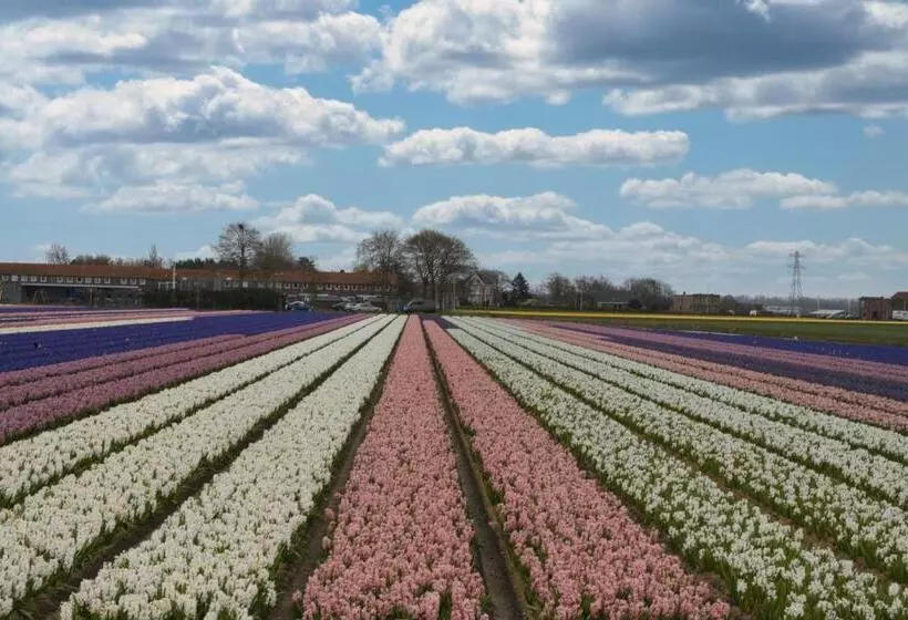 Bed And Breakfast Geliefd