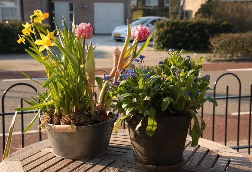 Bed And Breakfast Geliefd