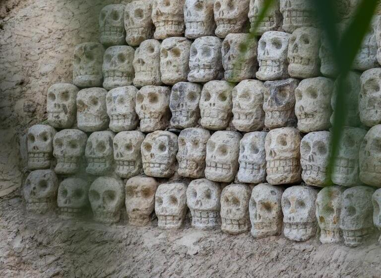 בית מלון כפרי Cocos