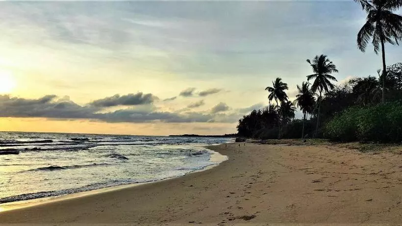 هتل Coral Bay