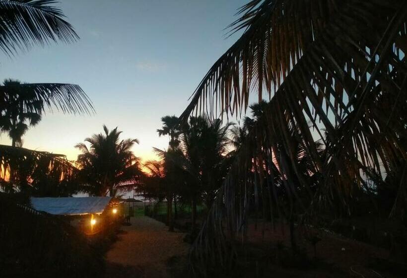 בית מלון כפרי The Ocean View