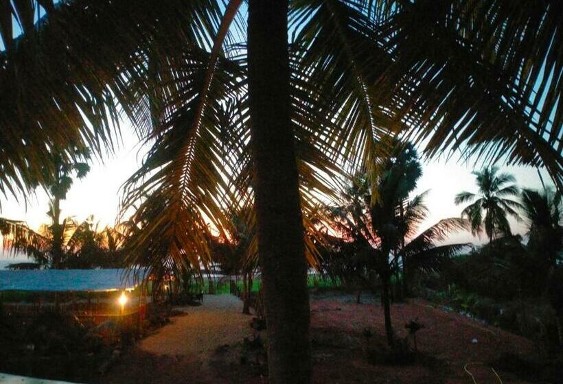 בית מלון כפרי The Ocean View