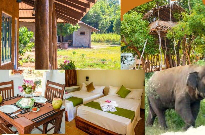 בית מלון כפרי Tiara Elephant Lodge